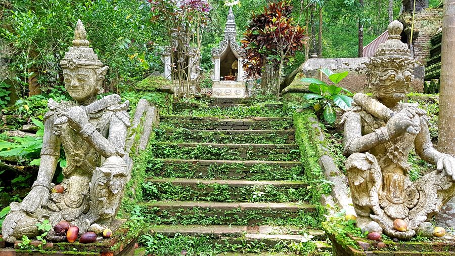 Viaje en grupo a Tailandia • Templo Wat Pha Lat Chiang Mai